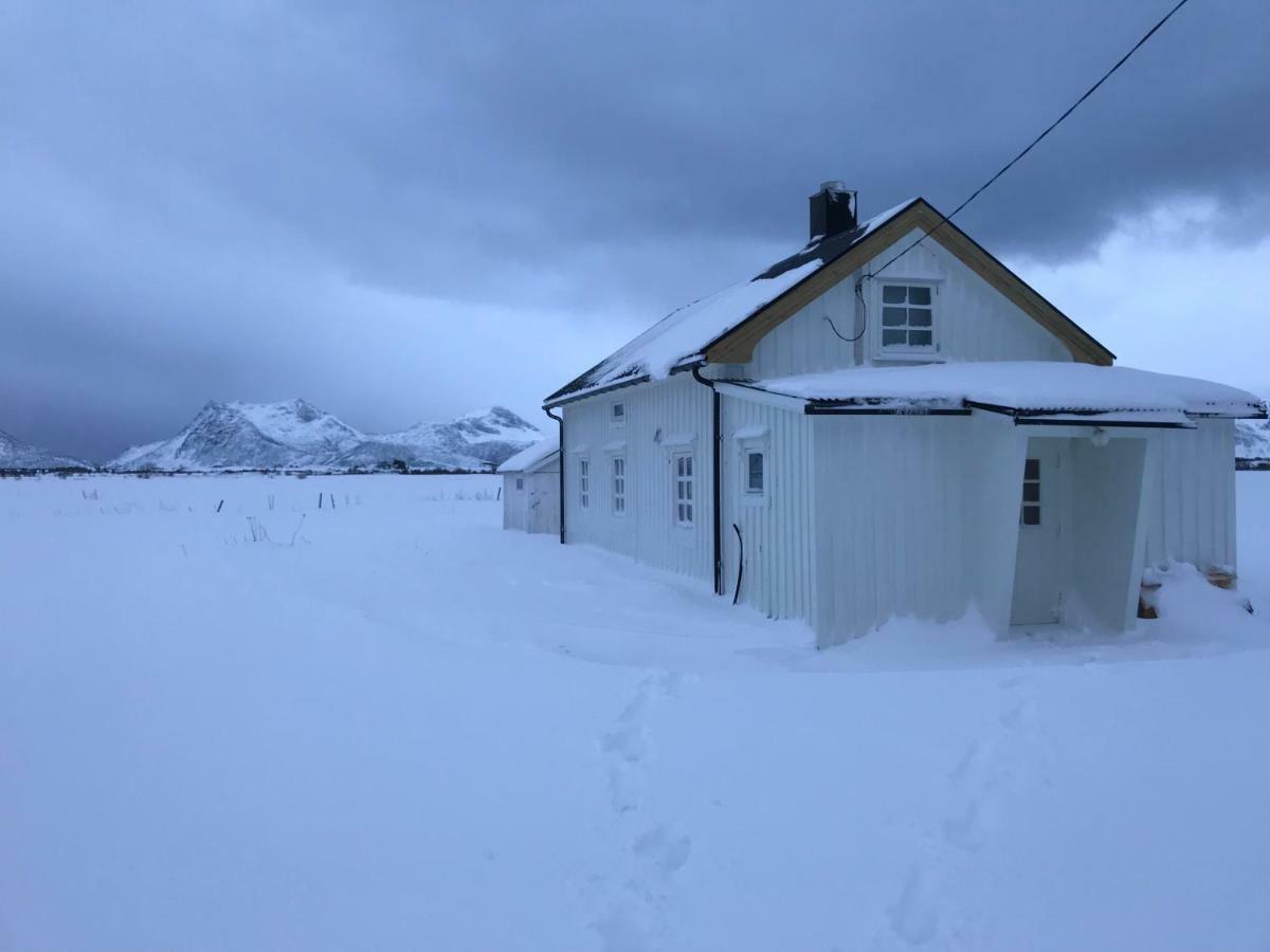 Narnia Lodge Lofoten Gimsoy Экстерьер фото