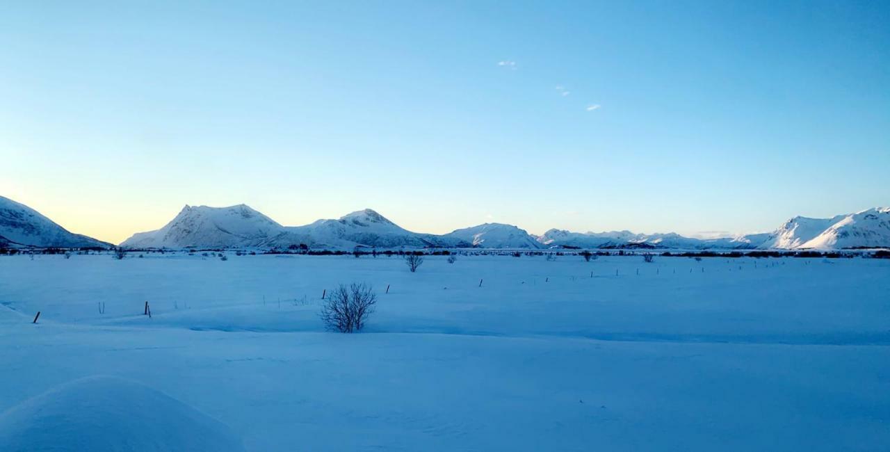 Narnia Lodge Lofoten Gimsoy Экстерьер фото