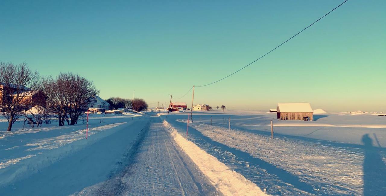 Narnia Lodge Lofoten Gimsoy Экстерьер фото