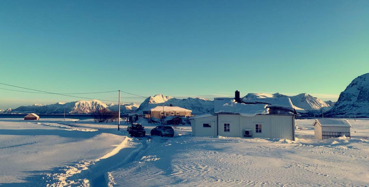 Narnia Lodge Lofoten Gimsoy Экстерьер фото