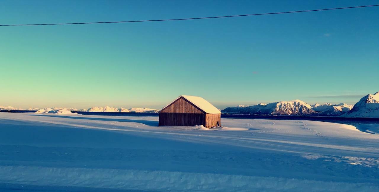 Narnia Lodge Lofoten Gimsoy Экстерьер фото